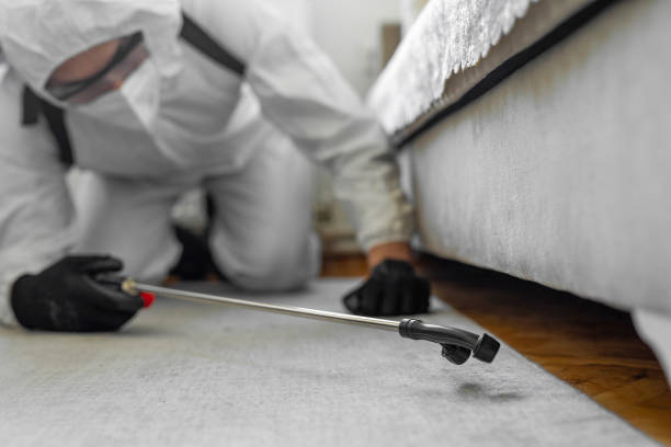Professional Bed Bug Control technician working in La Grange Park, IL