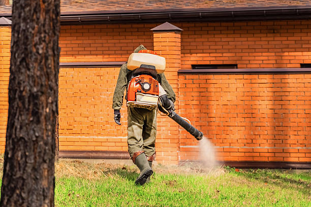 Trusted Cockroach Control service in La Grange Park, IL - Nex Pest Control